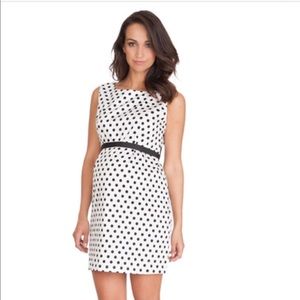 Seraphine Martina Polka Dot Maternity Dress- NWT
